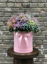 Цветочная композиция из Гипсофила и Розы в шляпной коробке в Инском