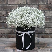 Цветочная композиция из Гипсофила в шляпной коробке #REPLACE_PRED# Инском