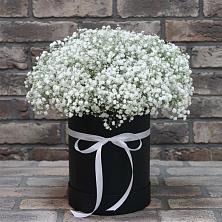 Цветочная композиция из Гипсофила в шляпной коробке в Инском