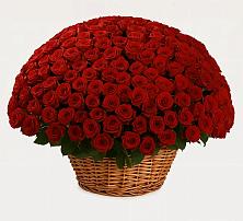 Премиум букет из: Розы #REPLACE_PRED# Инском